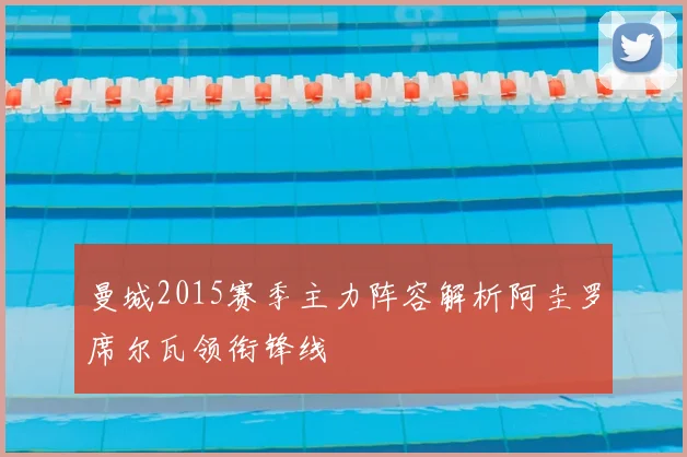 曼城2015赛季主力阵容解析阿圭罗席尔瓦领衔锋线