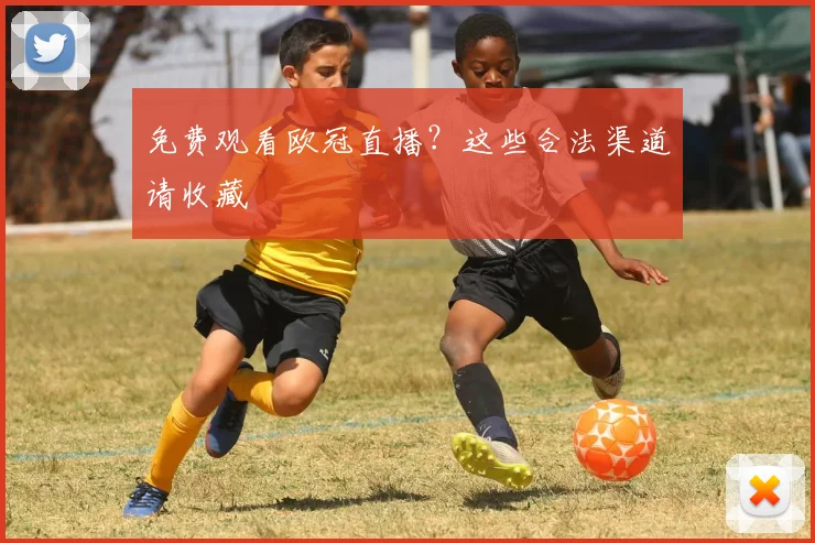 免费观看欧冠直播?这些合法渠道请收藏