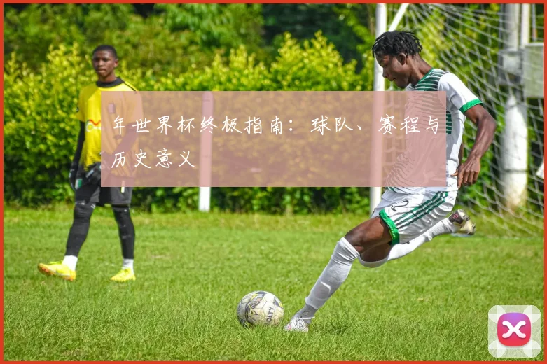 年世界杯终极指南：球队、赛程与历史意义