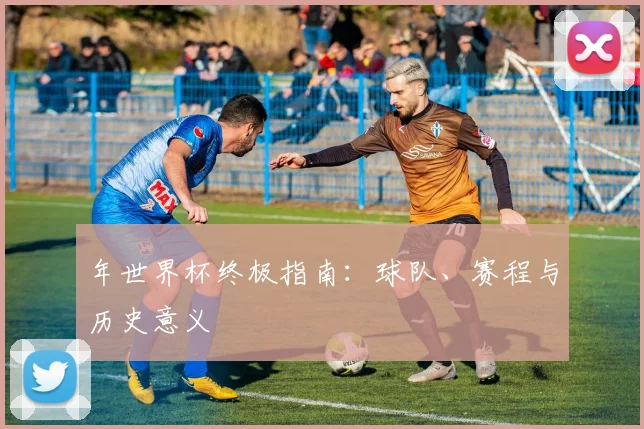 年世界杯终极指南：球队、赛程与历史意义