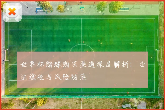 世界杯赌球购买渠道深度解析:合法途径与风险防范