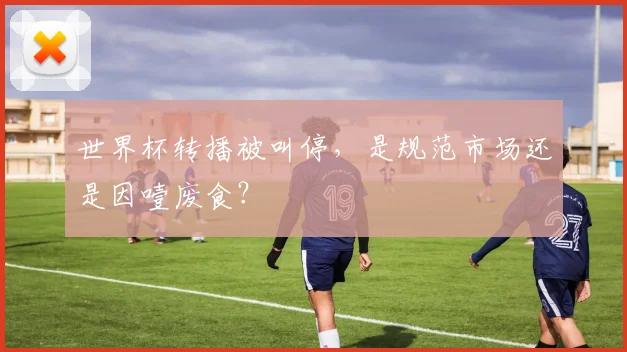 世界杯转播被叫停,是规范市场还是因噎废食?