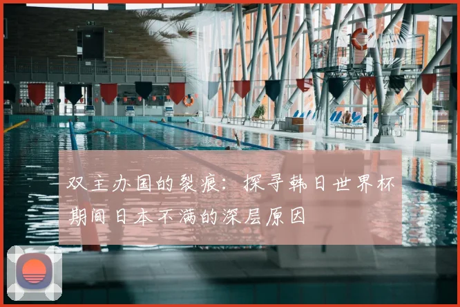 双主办国的裂痕:探寻韩日世界杯期间日本不满的深层原因