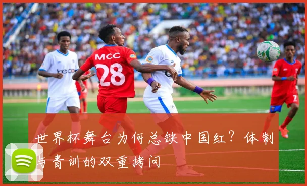 世界杯舞台为何总缺中国红？体制与青训的双重拷问